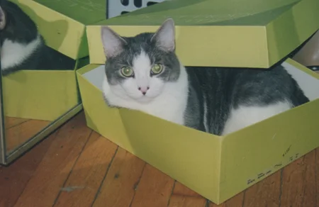 inabox.jpg