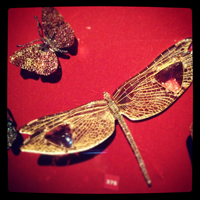 gold-dragonfly.jpg