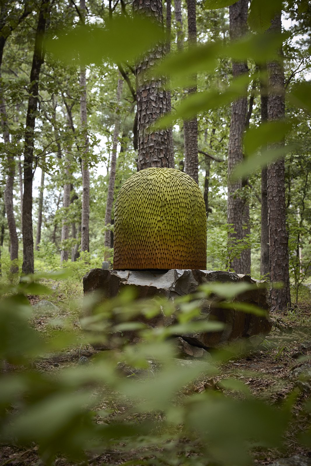 Pinnacle Mountain State Park 