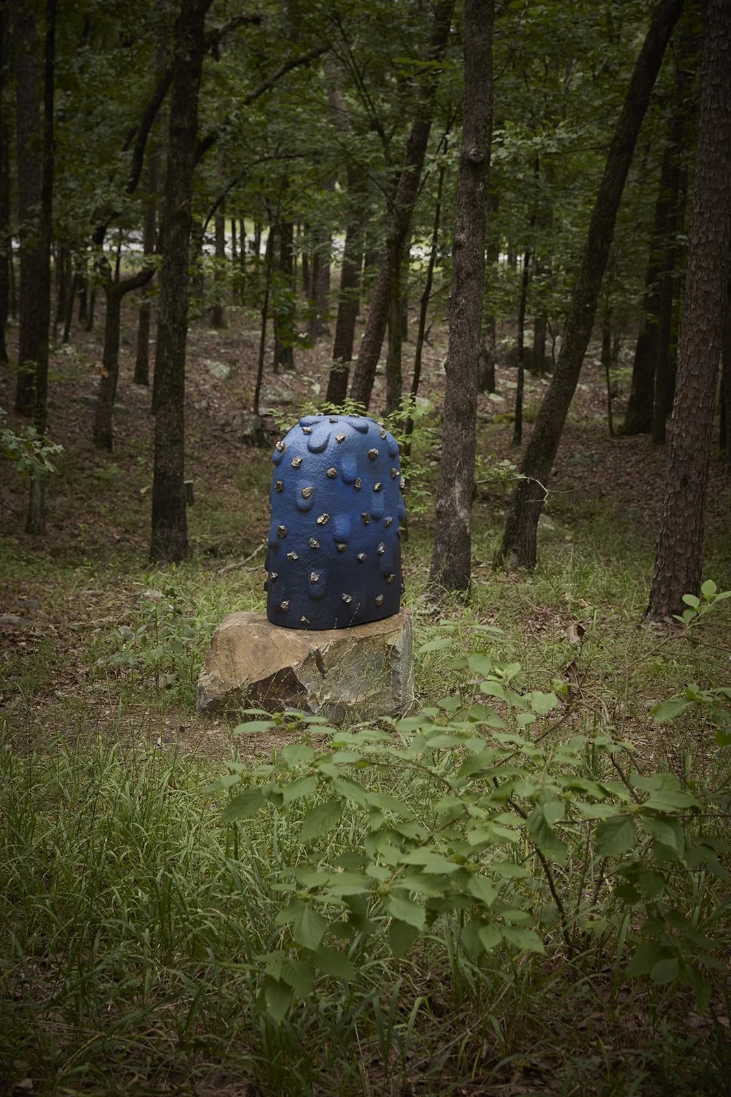 Pinnacle Mountain State Park 