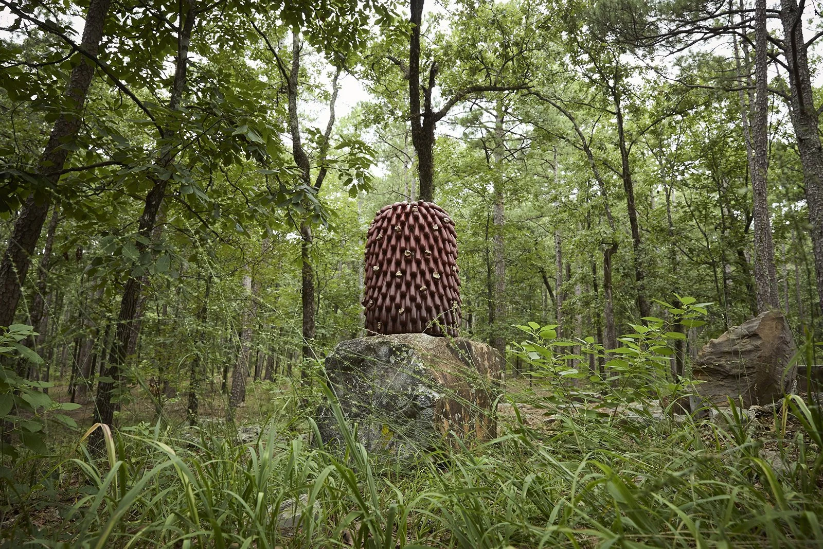 Pinnacle Mountain State Park