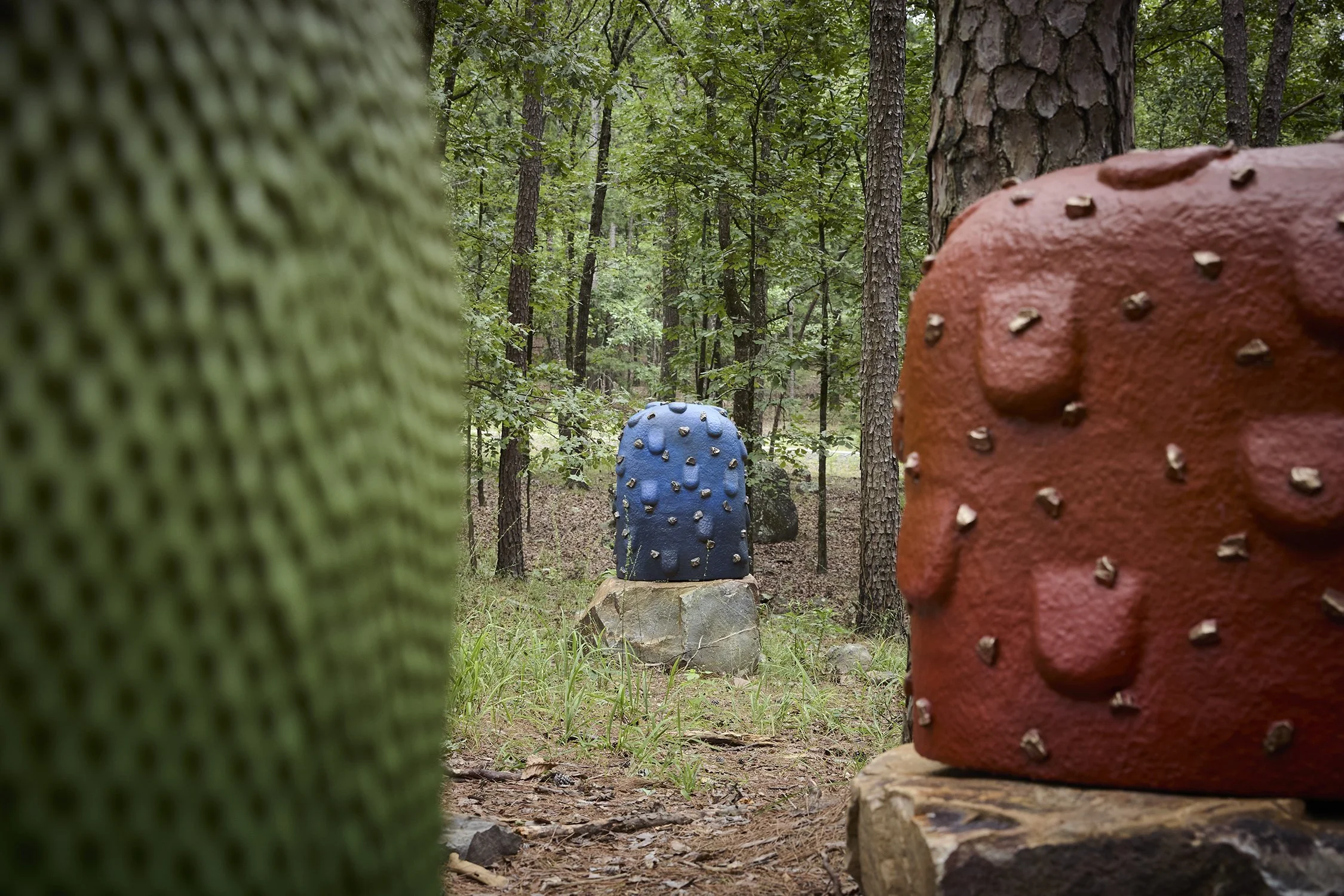 Pinnacle Mountain State Park