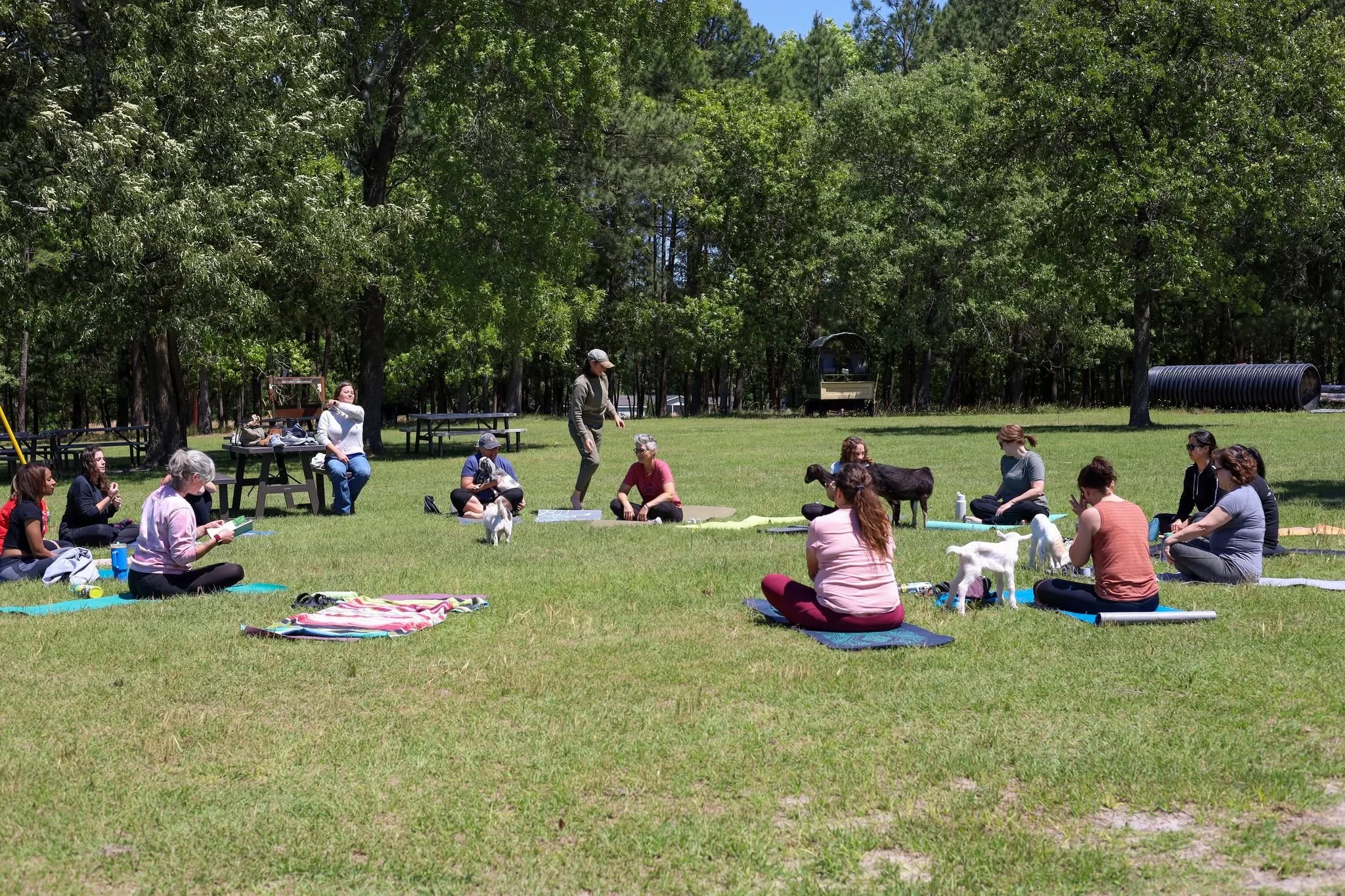 Getting together for some Christian "baaa-maste" with the ladies of Veritas! 🐐🧘&zwj;♀️

The women of Veritas enjoyed an afternoon of laughter, community, and maybe a few goat nibbles. So grateful for this group of ladies and the joy of gr