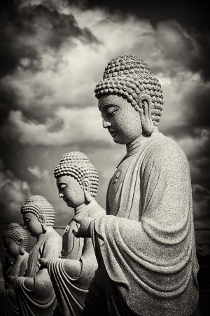 photo credit: buddhabe.tumblr.com.