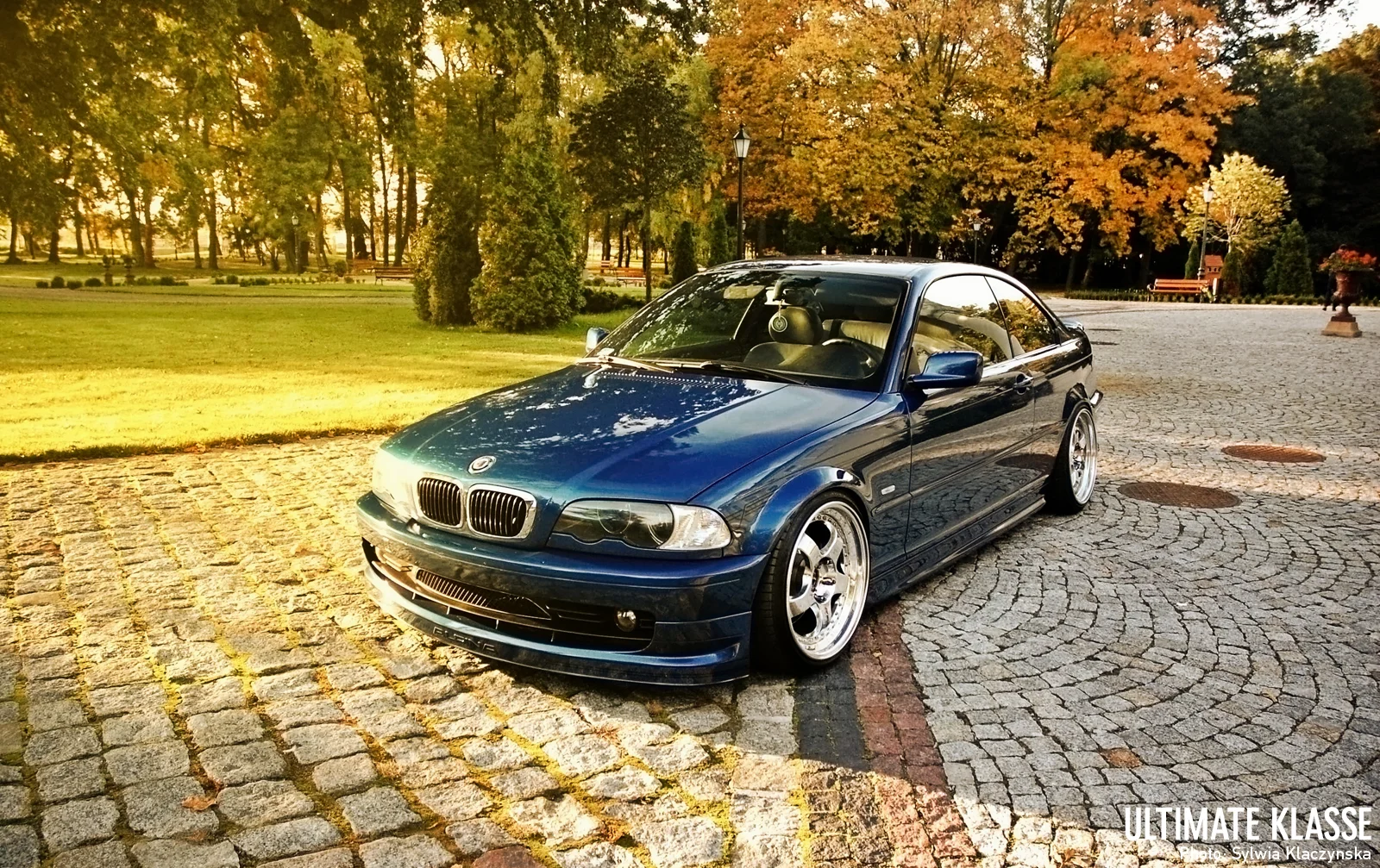 DSC_4826.jpg