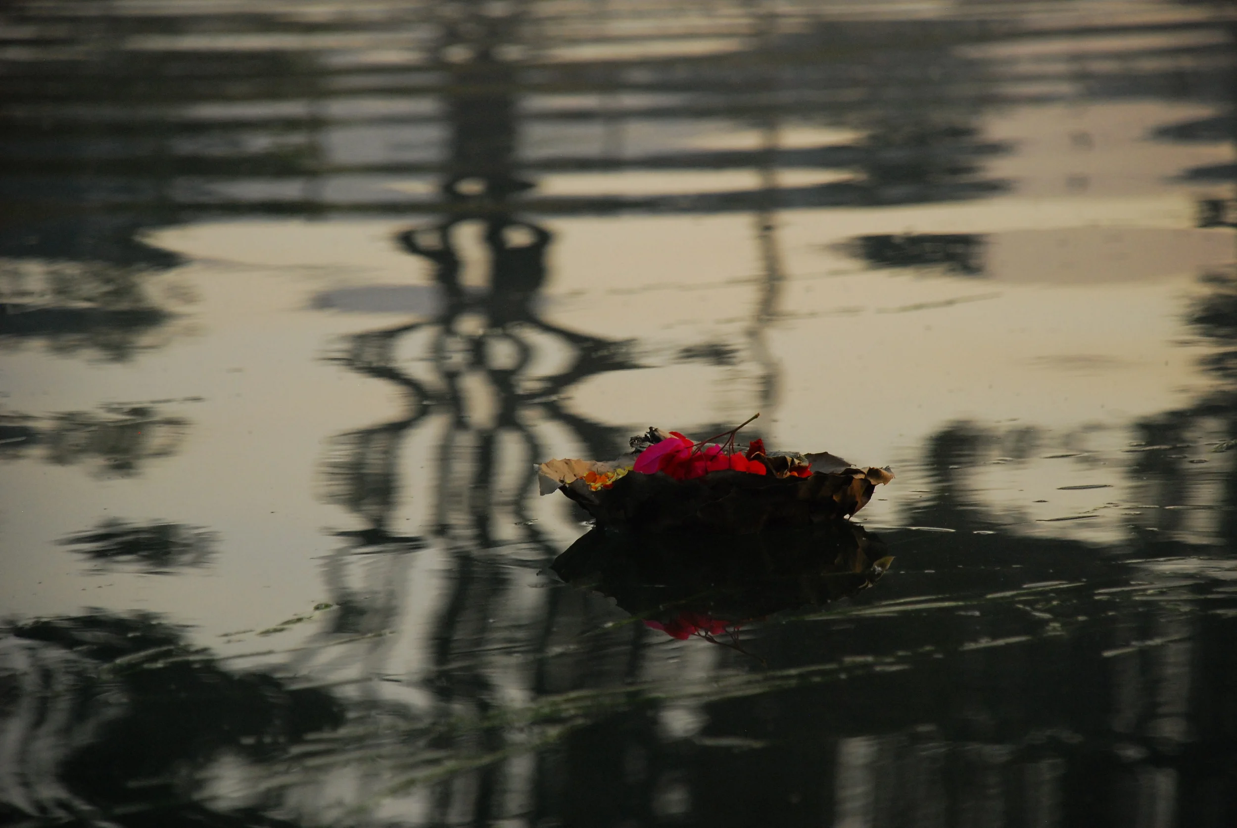 DSC_4387.jpg