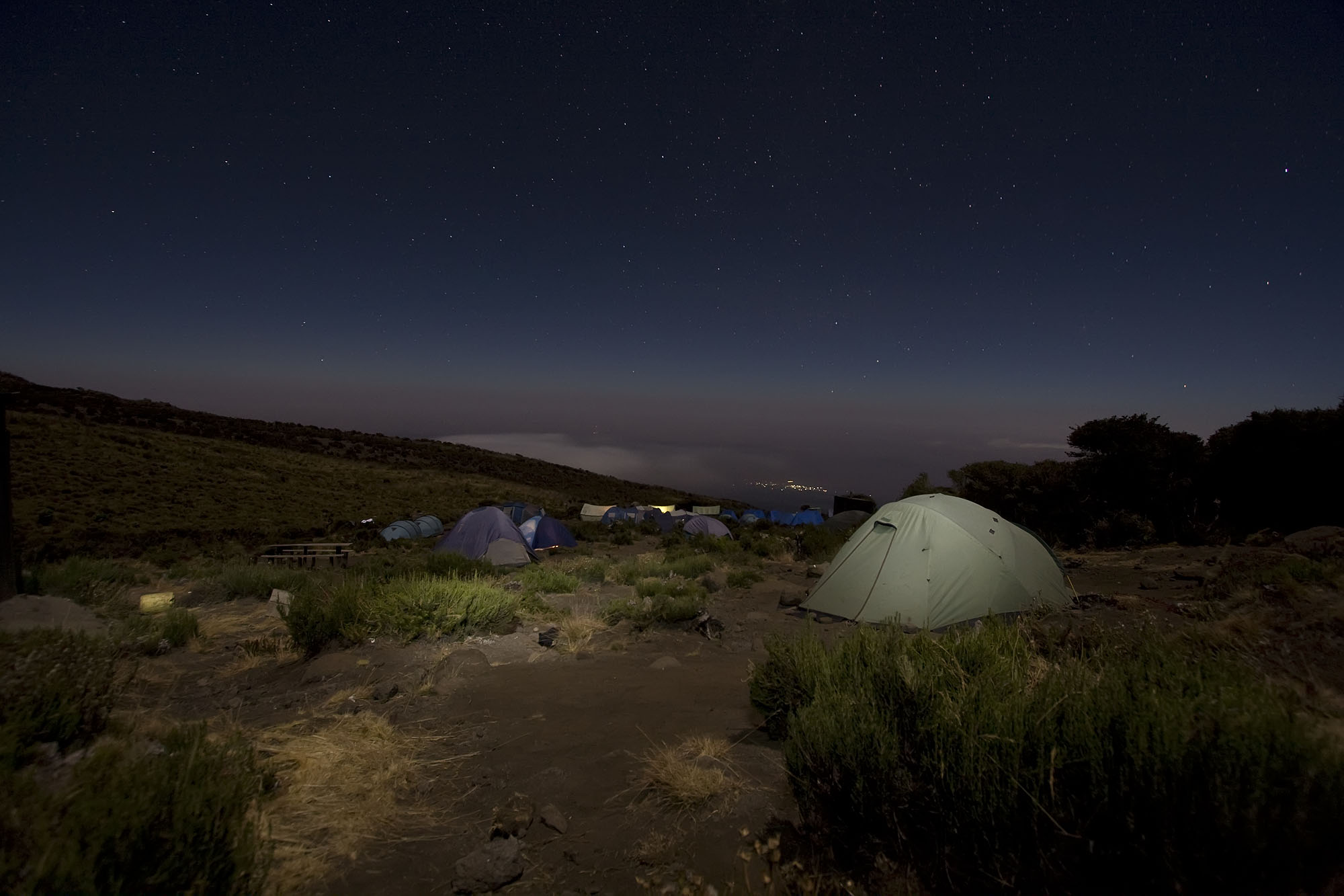 Photo By: César González Palomo