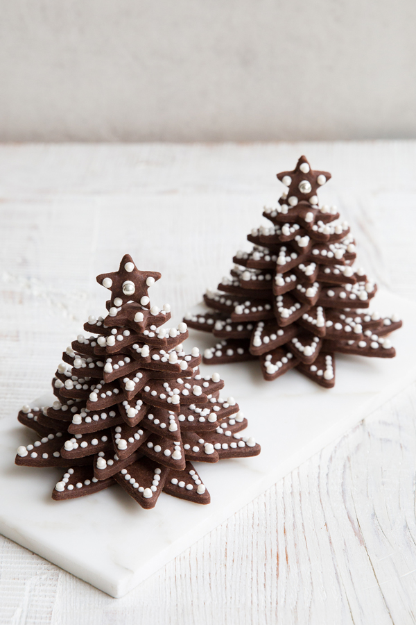 erinscottphotography_holidaycookiesbook-9294.jpg