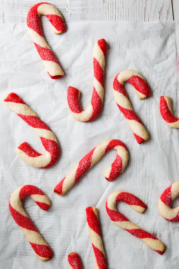 erinscottphotography_holidaycookiesbook-8561.jpg