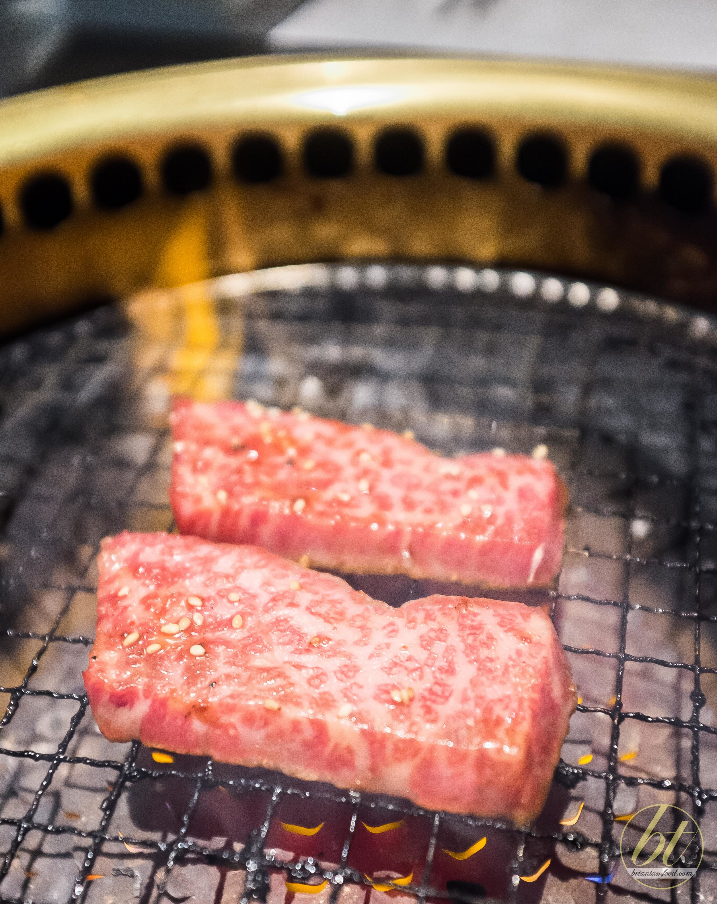 Wagyu rib