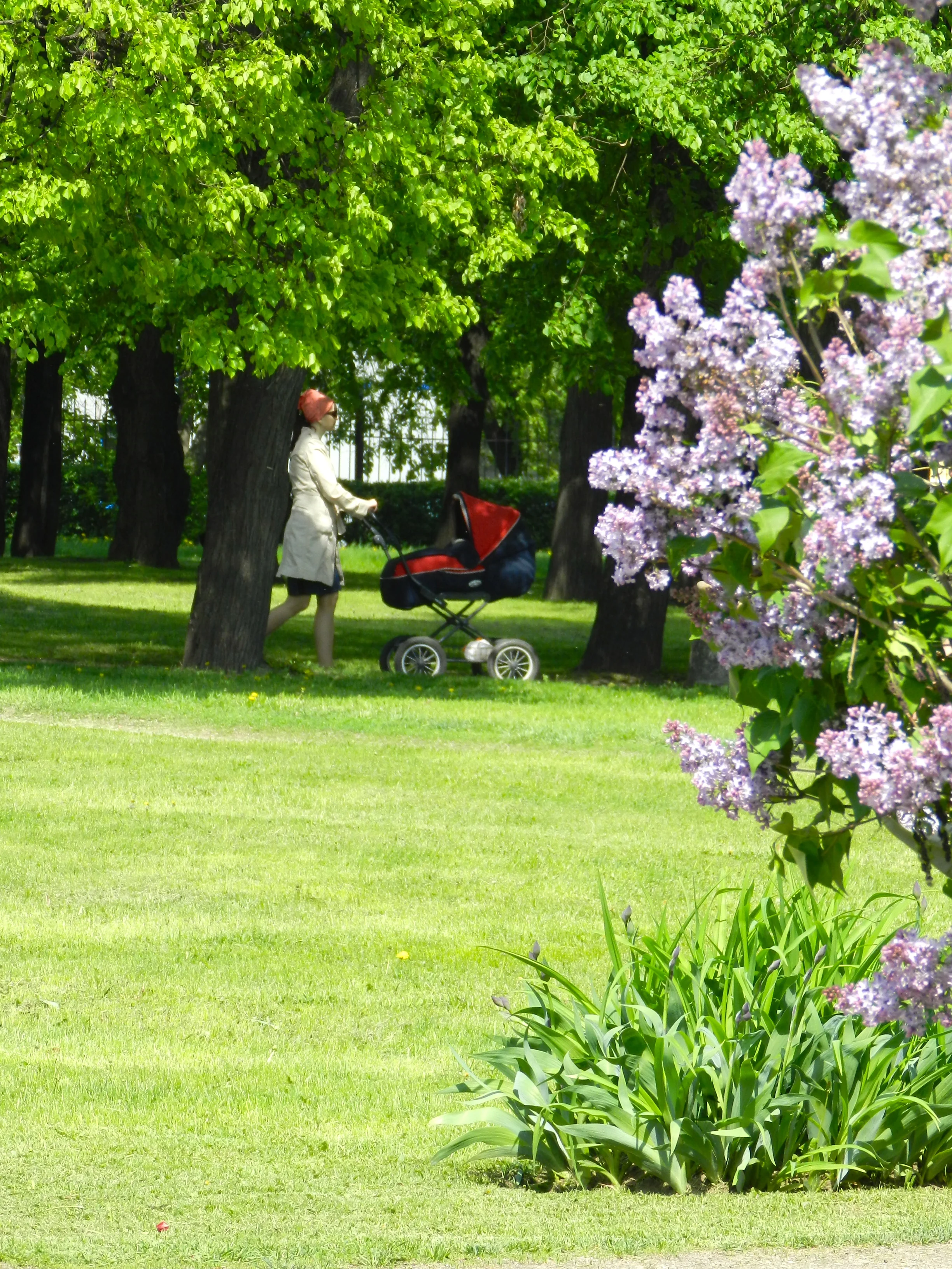 DSCN3833.JPG