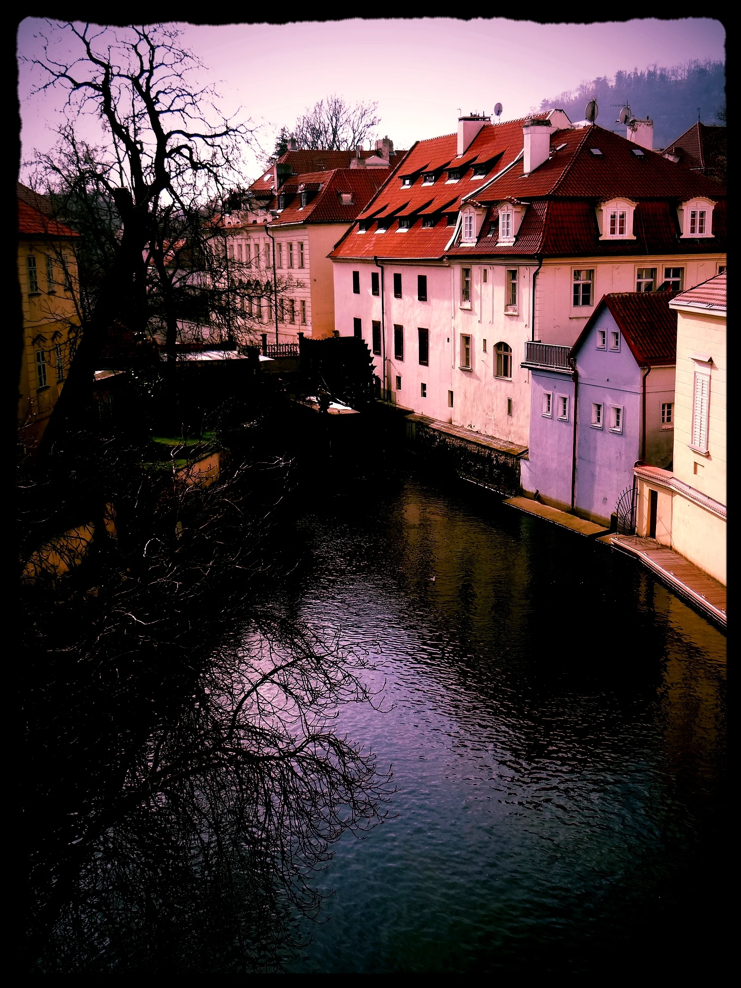 DSC02336.JPG