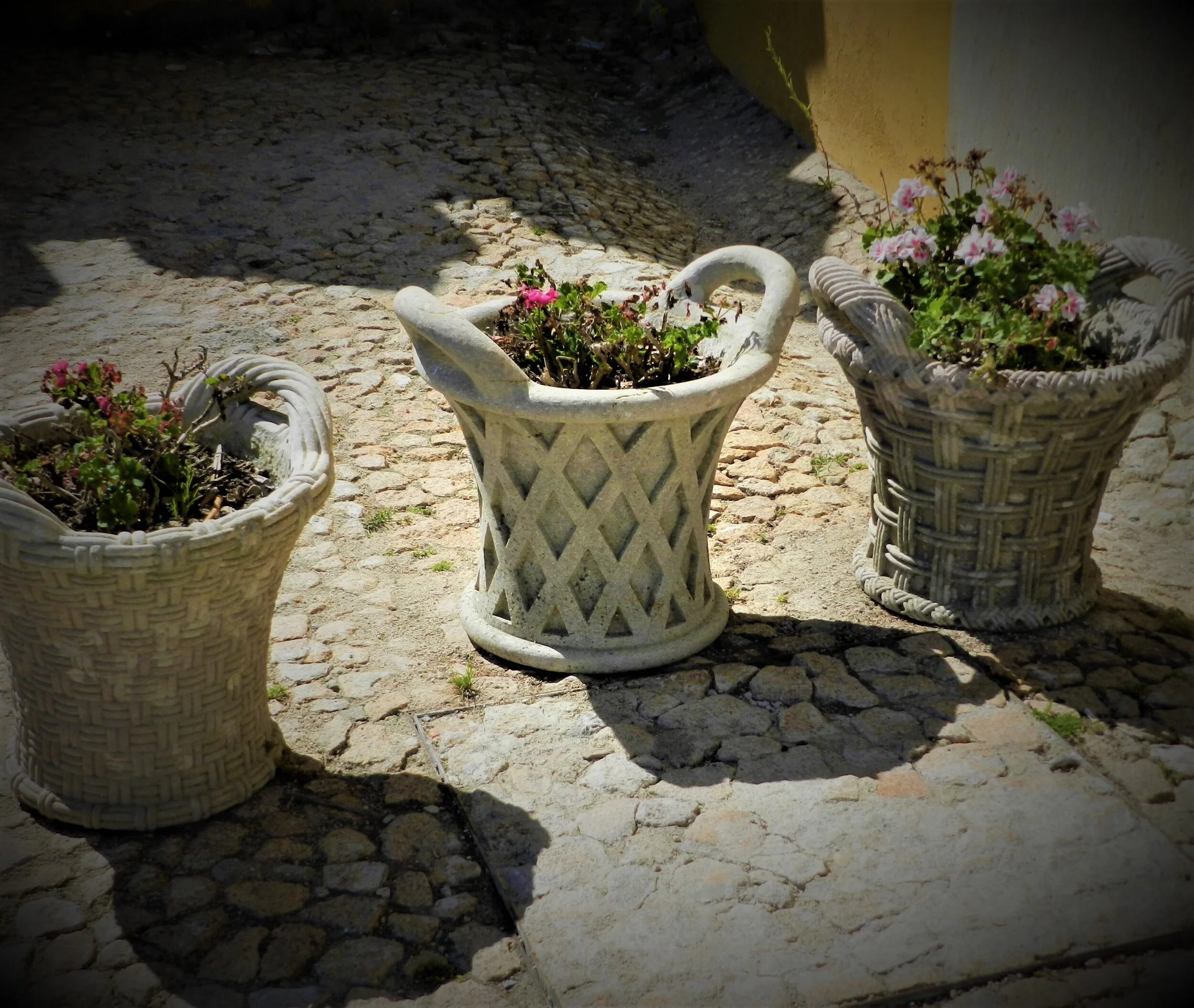DSCN4499.JPG