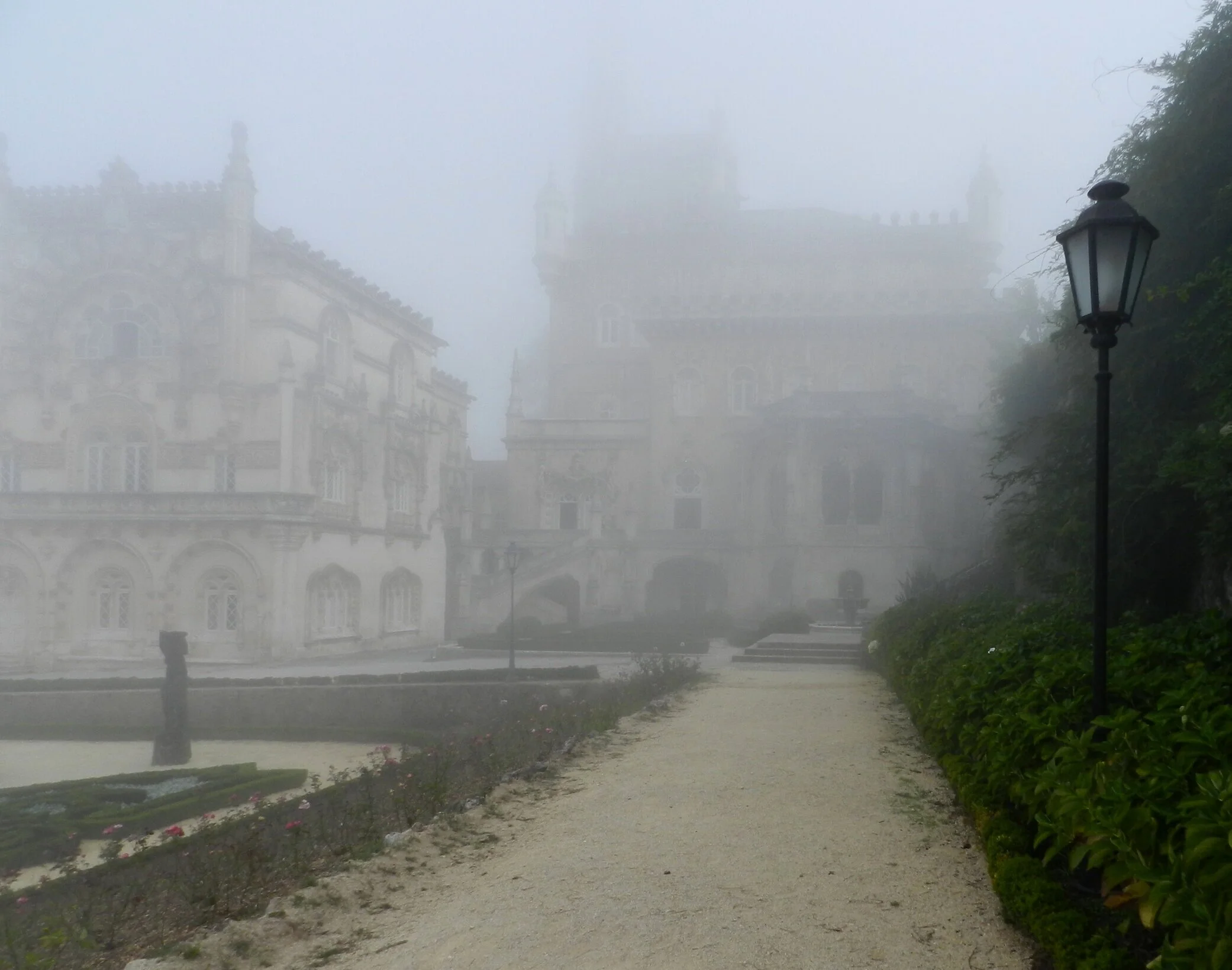 DSCN4586.JPG