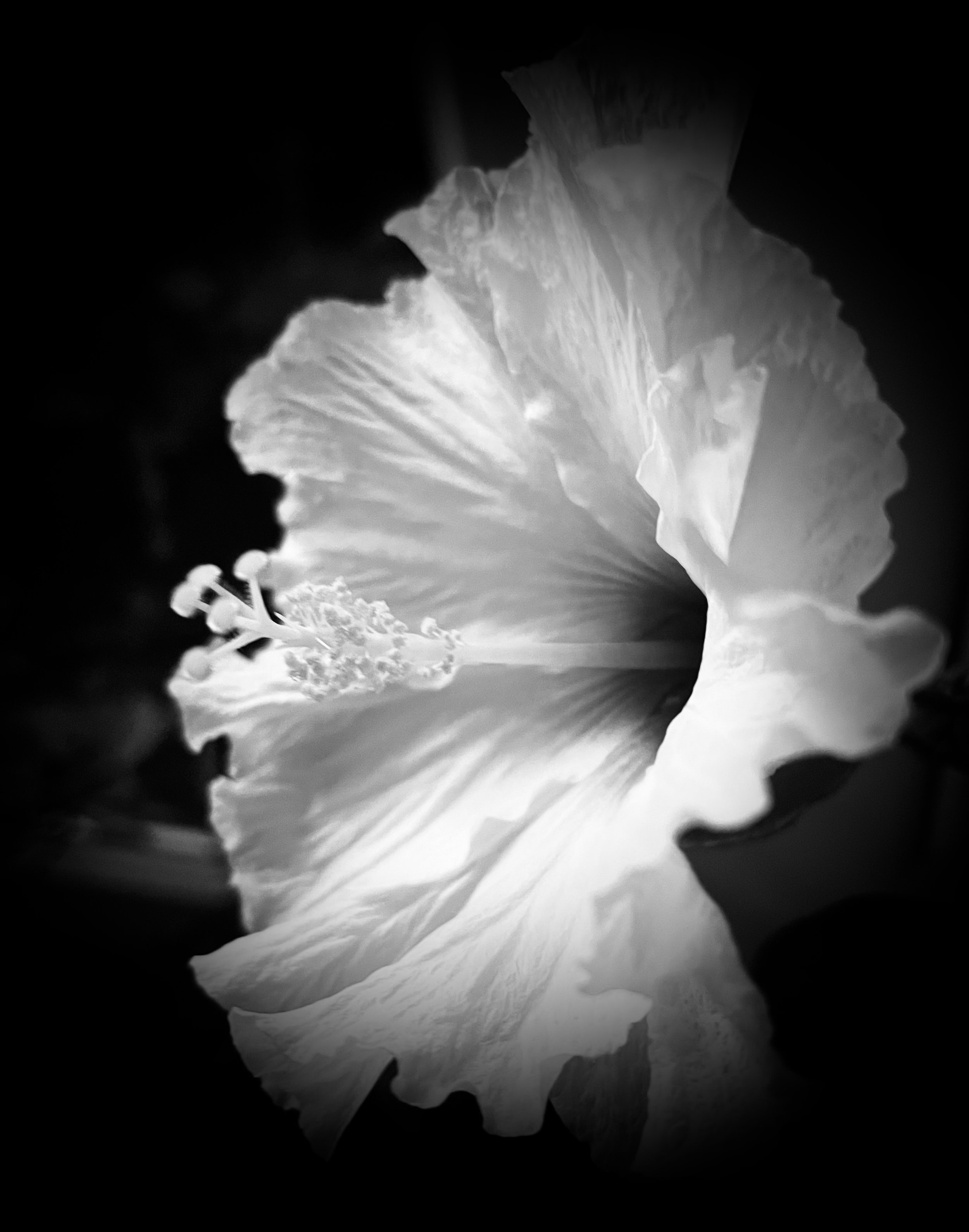 IMG_1821.jpeg