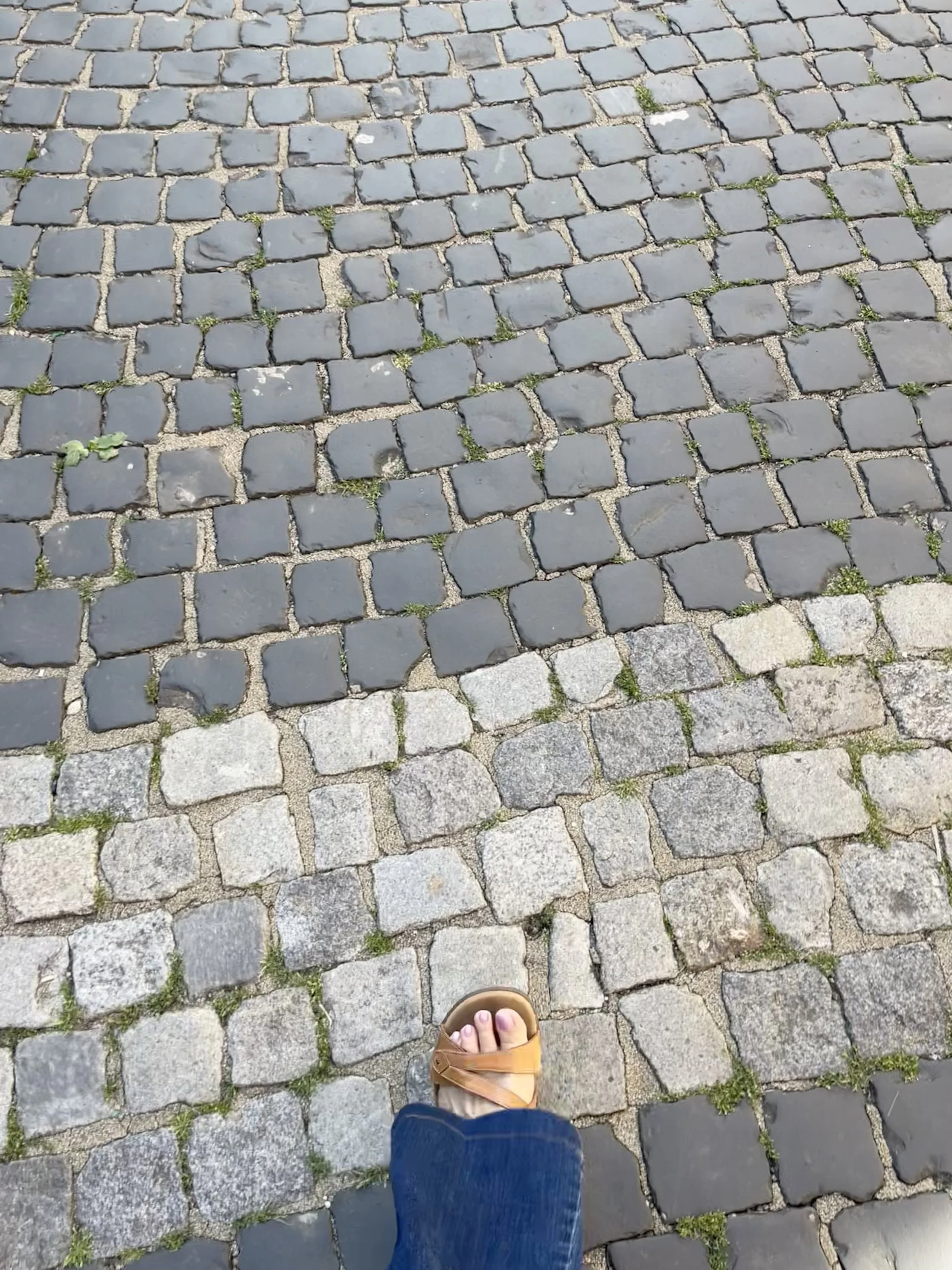 IMG_0592.jpeg