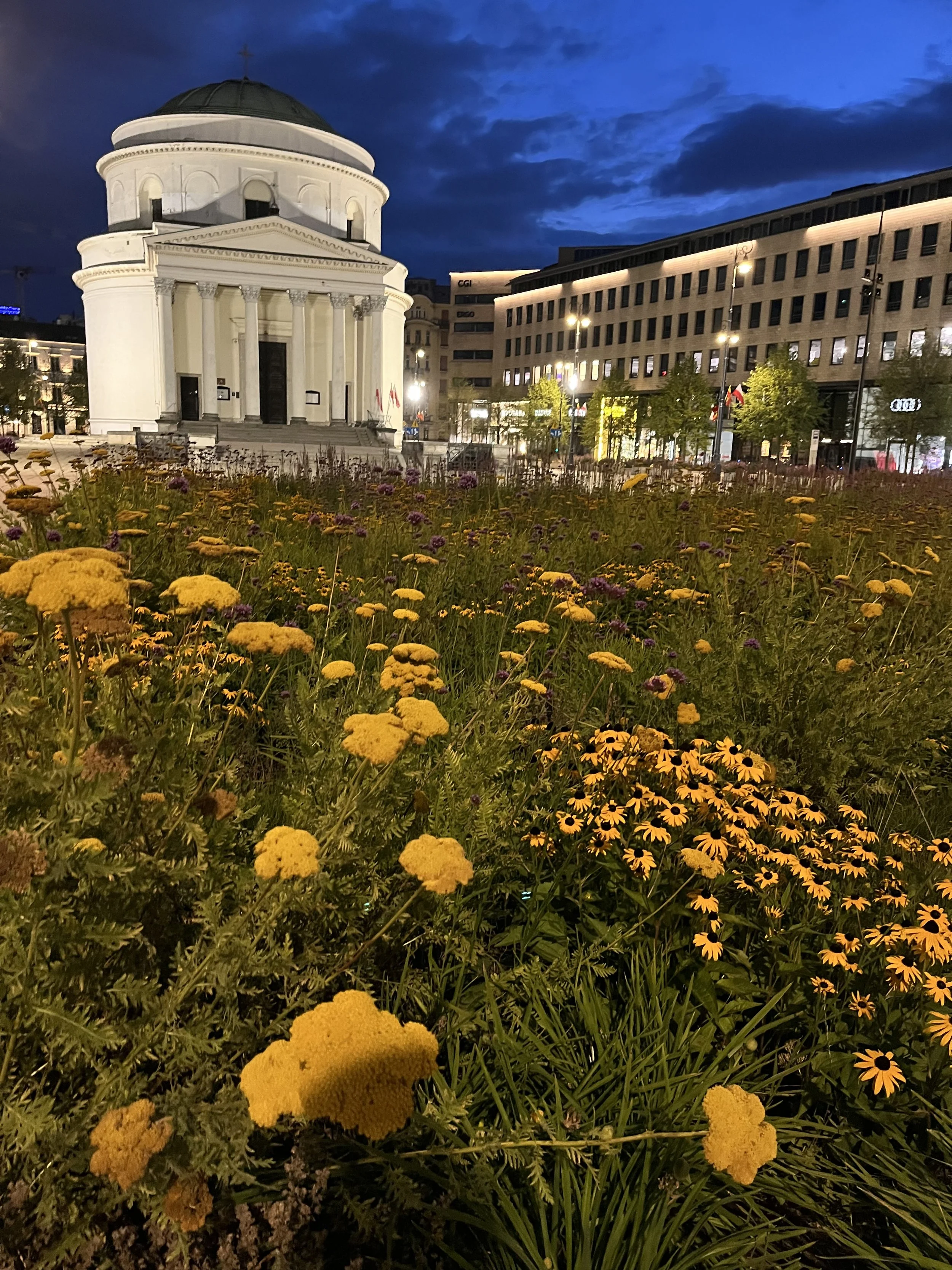 IMG_0608.jpeg
