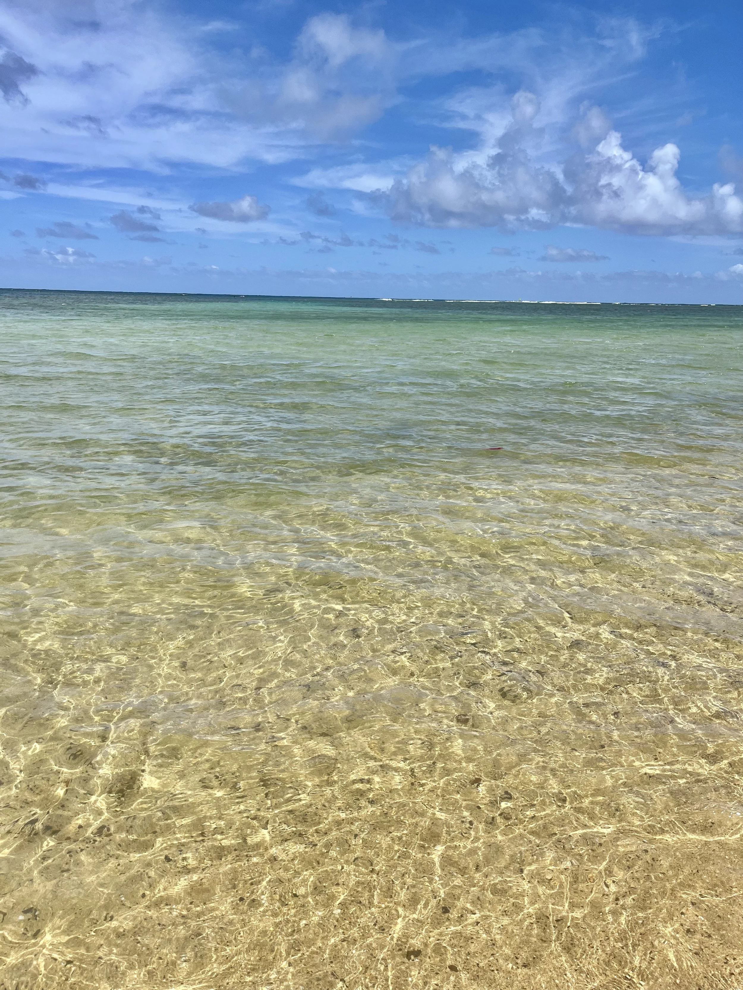 IMG_2200.jpeg