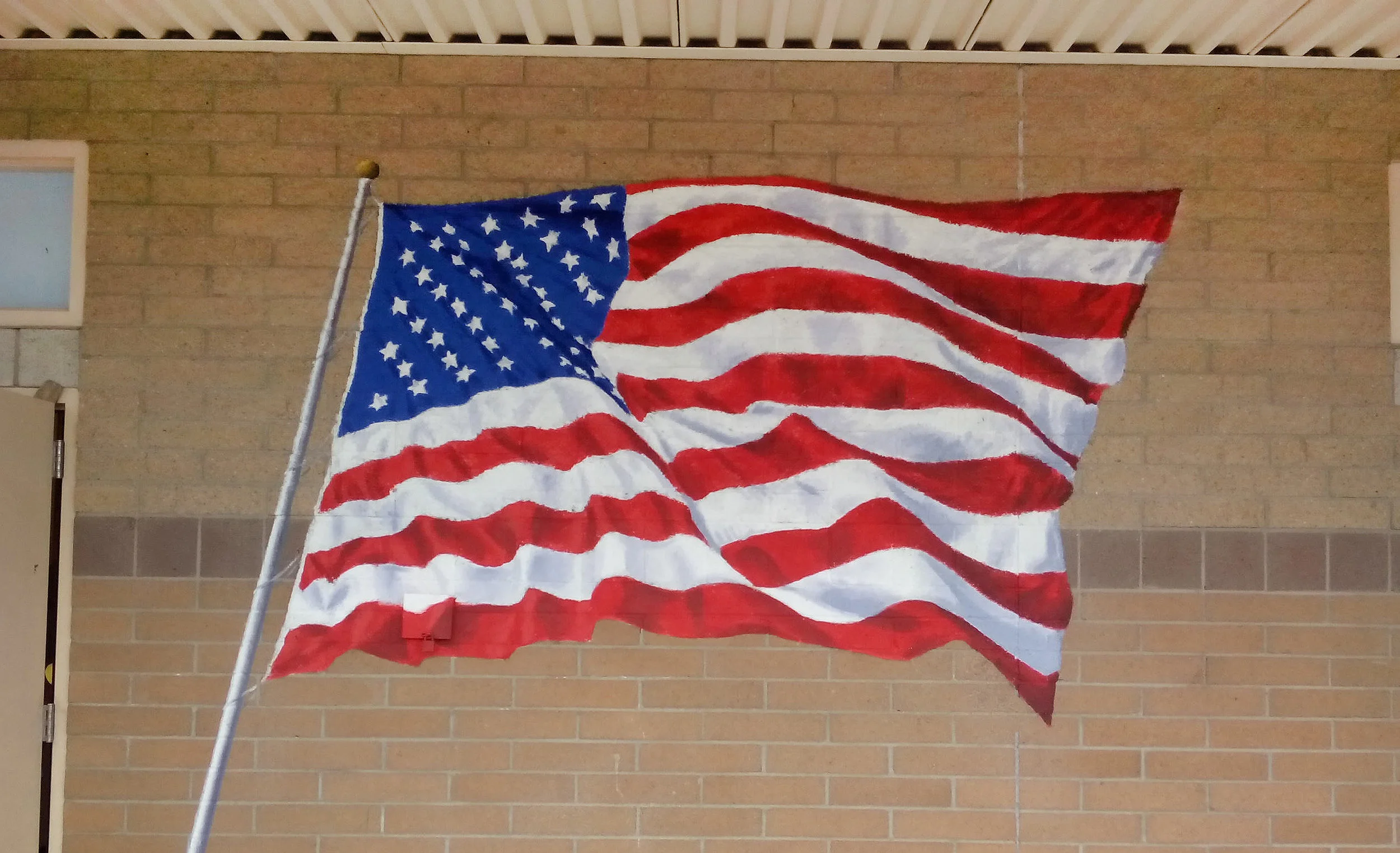 ronzone flag pic.jpg