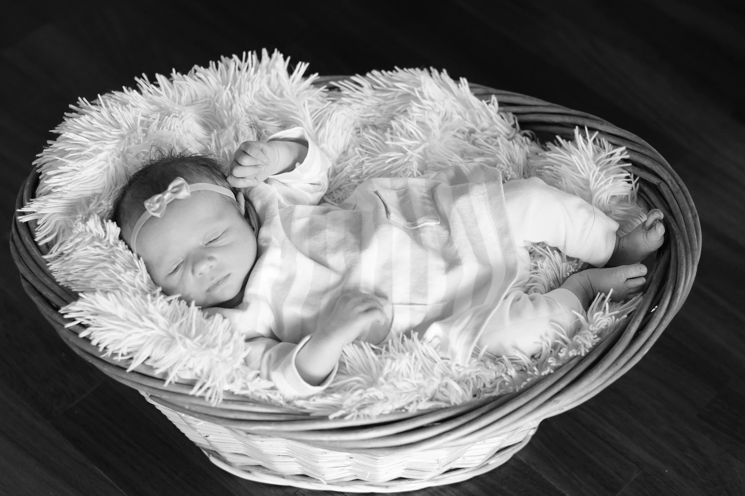 201503_DevineE-58.jpg