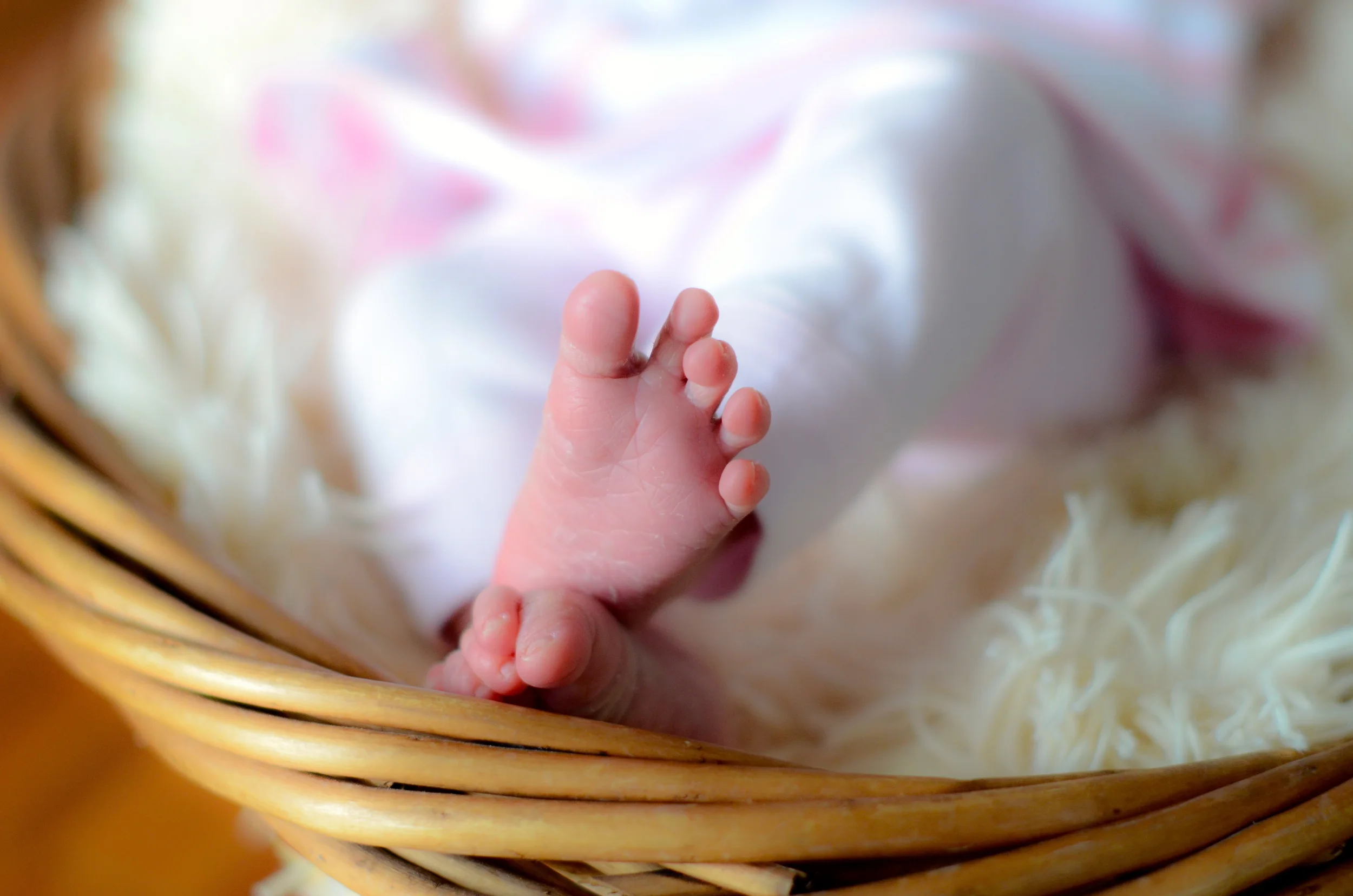 201503_DevineE-11.jpg