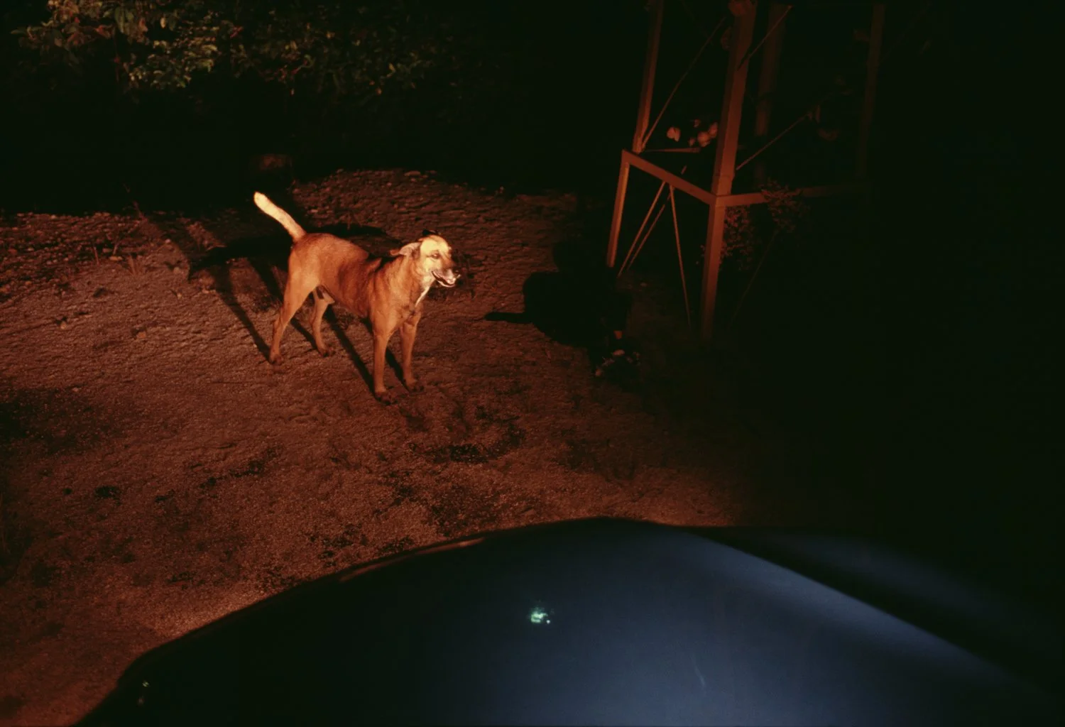 Shaun_Stander_1_125_Costa_Rica_02.jpg