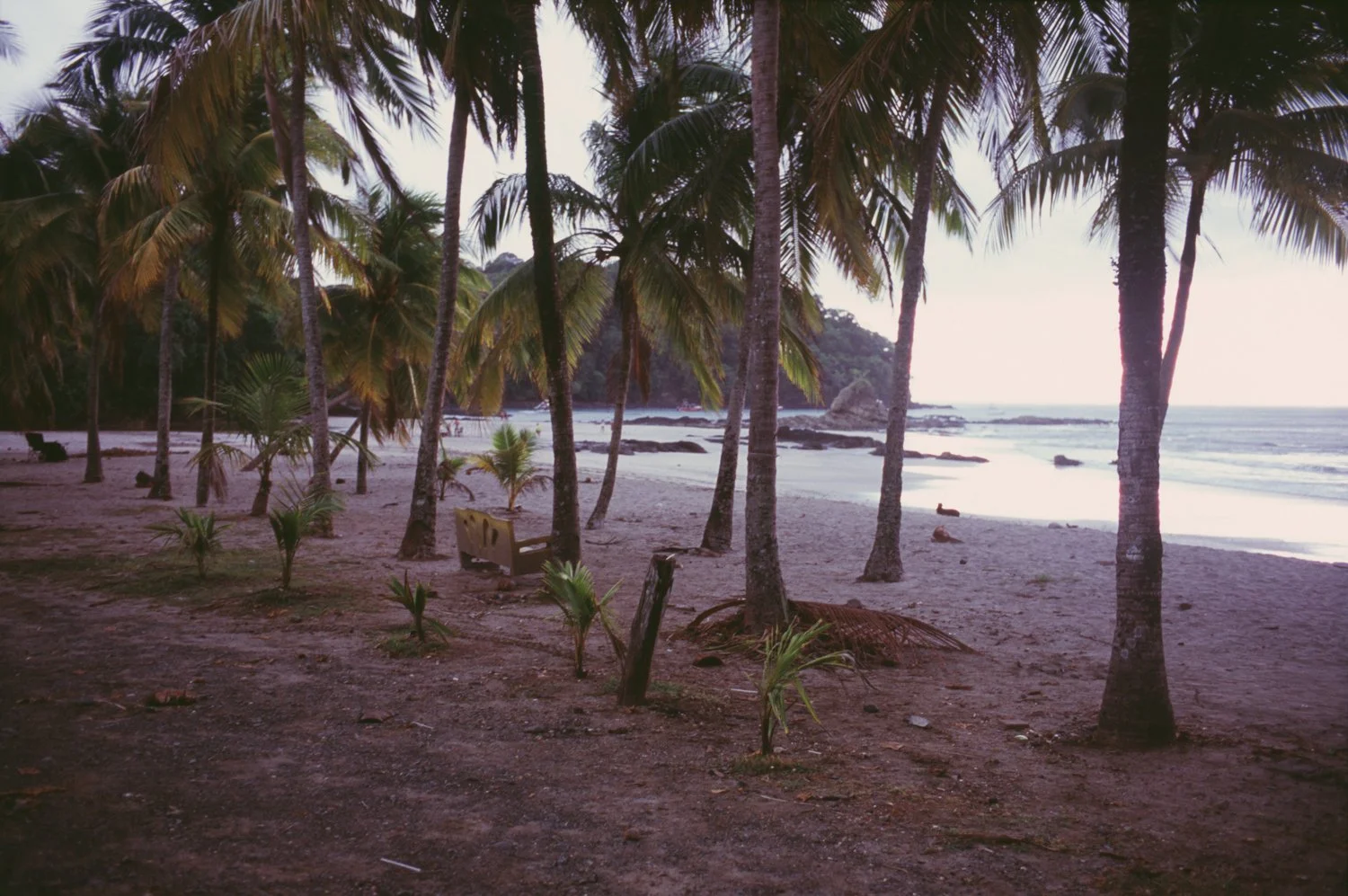 Shaun_Stander_1_125_Costa_Rica_10.jpg