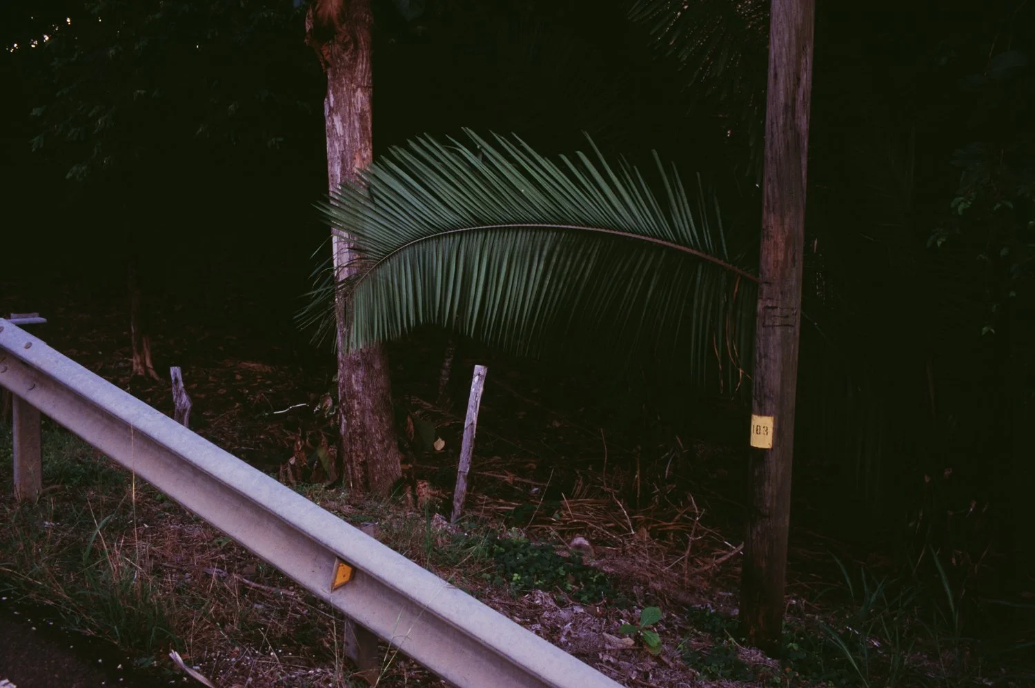 Shaun_Stander_1_125_Costa_Rica_30.jpg