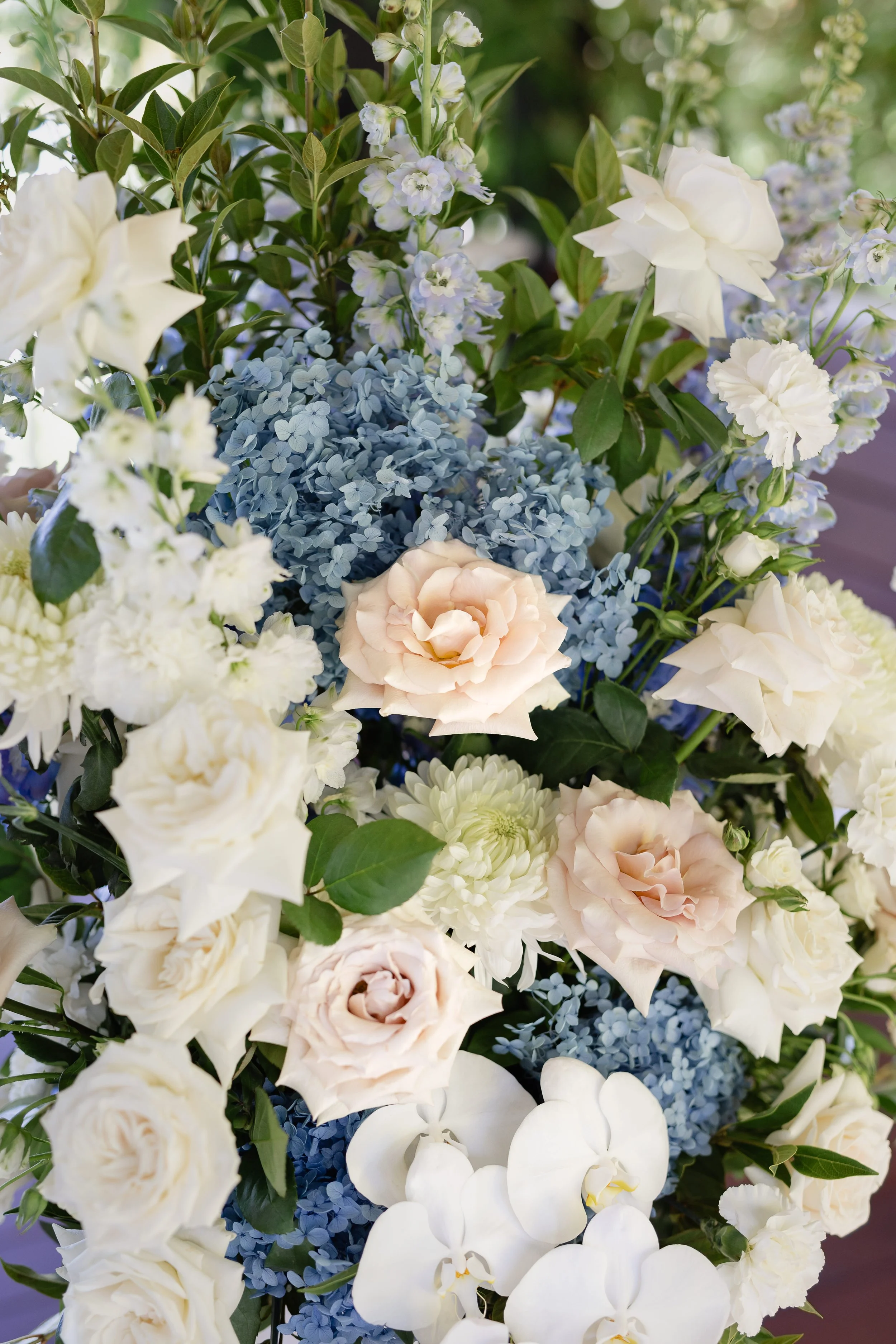 Danielle-Brock-blue-flowers-close.jpg