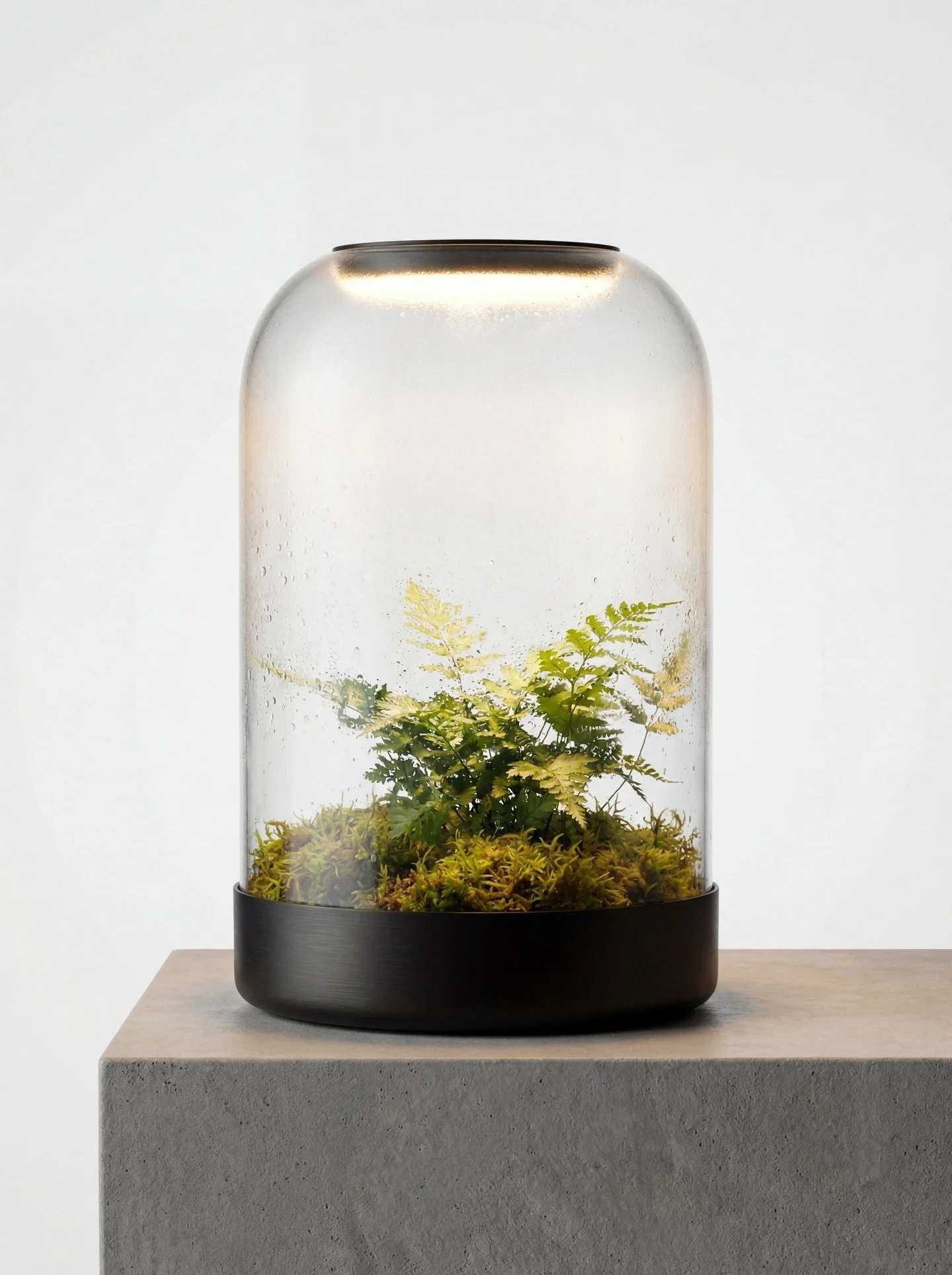 VAPOR

A smart microclimate object refined to gallery standard.

Vapor was designed around a simple idea.
Technology should not dominate a space. It should elevate it.

A warm graphite anodized aluminium base houses calibrated humidity control, soil 