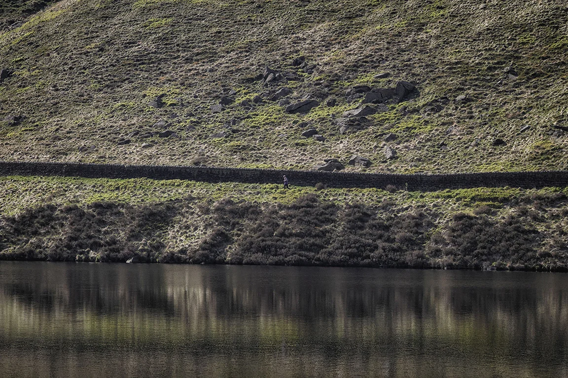 Greenfield Reservoir Saddlewort.jpg