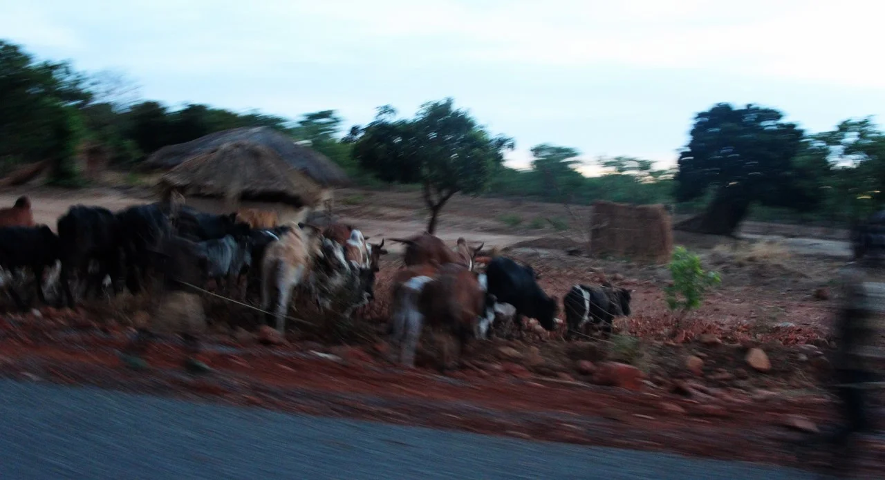 Kitwe to Katumbi (31).jpg