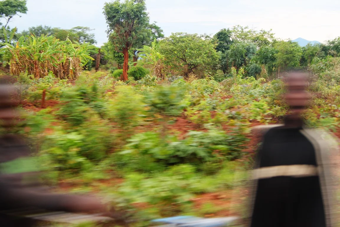we weren't going as fast as it looks here - we averaged between 40-60km p/h in the very remote areas as the locals aren't used to vehicle and a lot of them run out into the road to investigate you