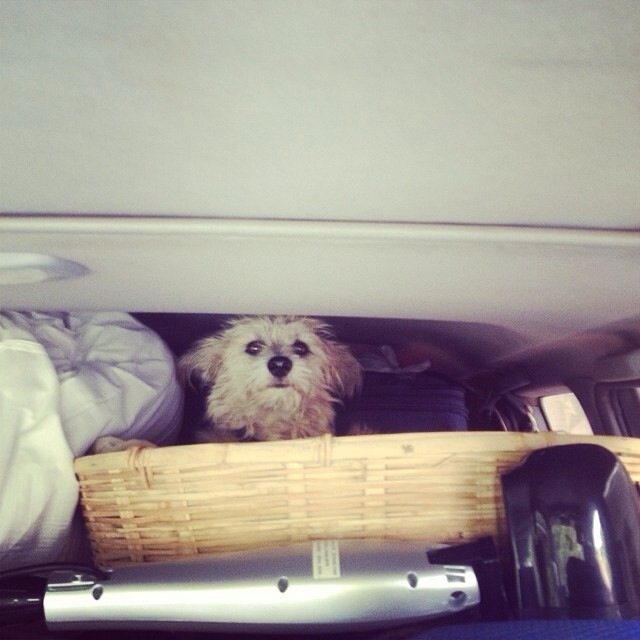 travel Jack