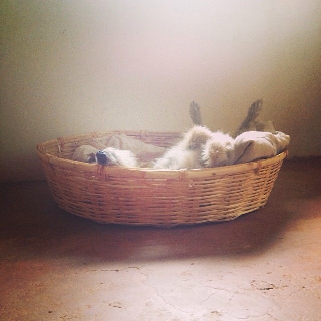 nap time Jack