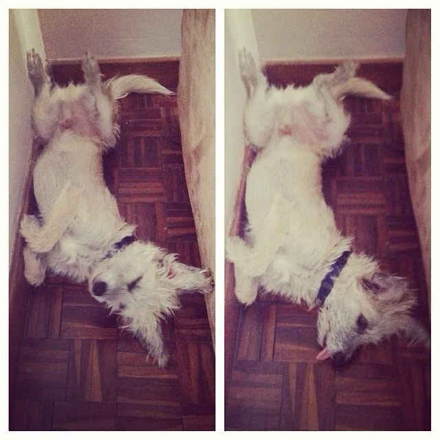 lazy Jack