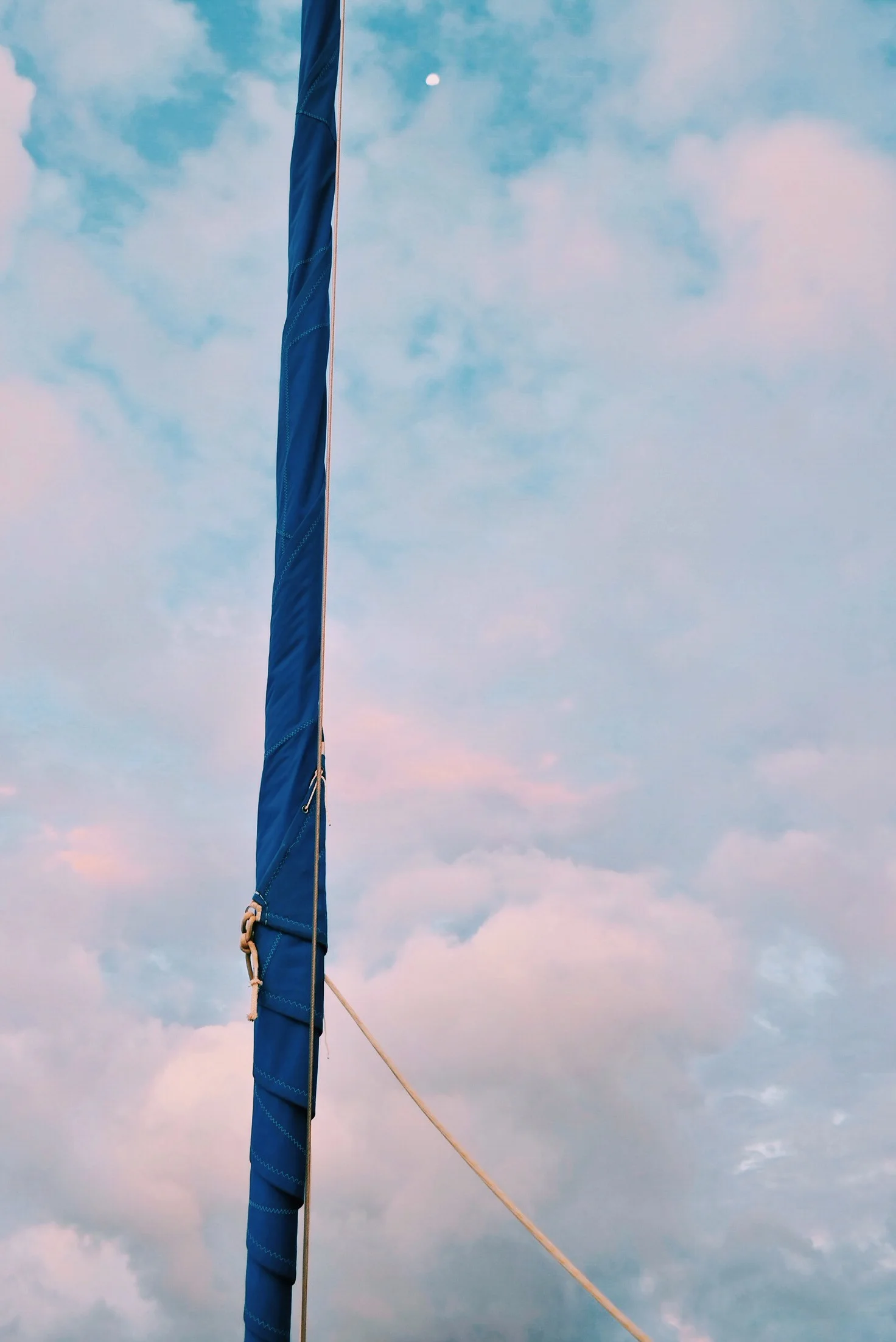 admiring our refurbished jib