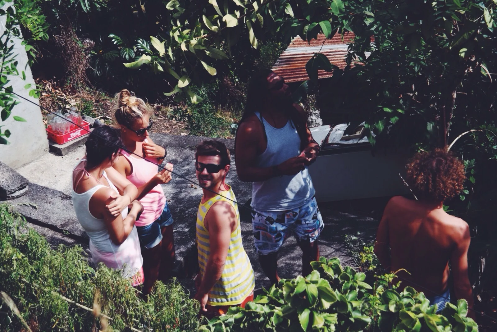 day tripping with our new German friends - "wax apple" tasting in a local's garden