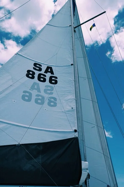 staring at our new main sail never gets old