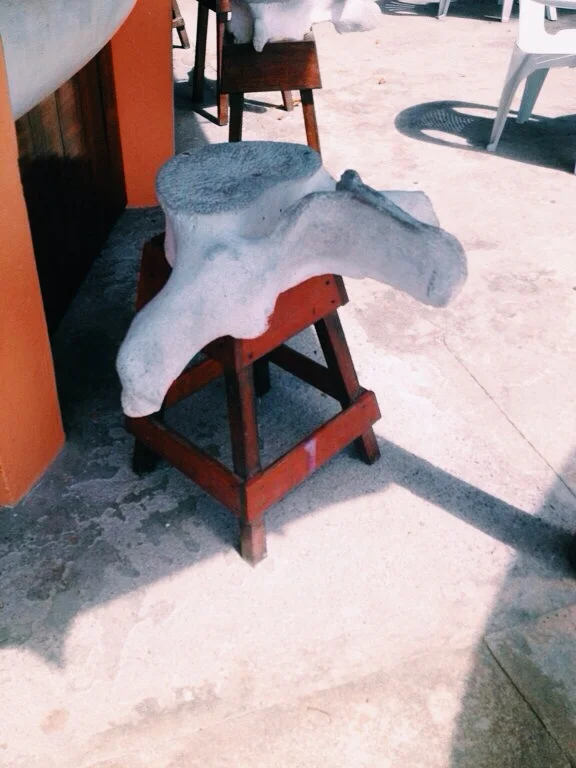the whale bar, with whale vertebra for seats- limited whaling is still permitted here, but only for local fishermen using traditional methods&nbsp;