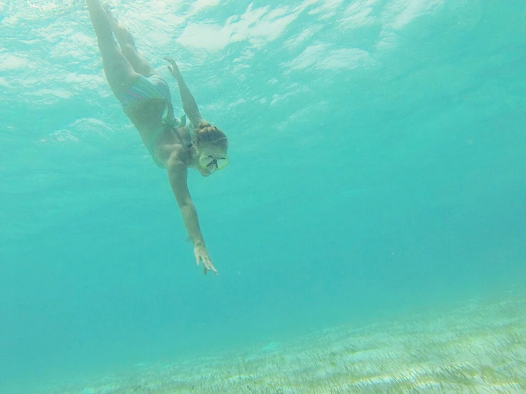 unfortunately the focus of this dive was cut out of the shot (we dont have a screen on our go pro yet) but I was pointing a giant bright red starfish, the biggest we've ever seen.&nbsp;