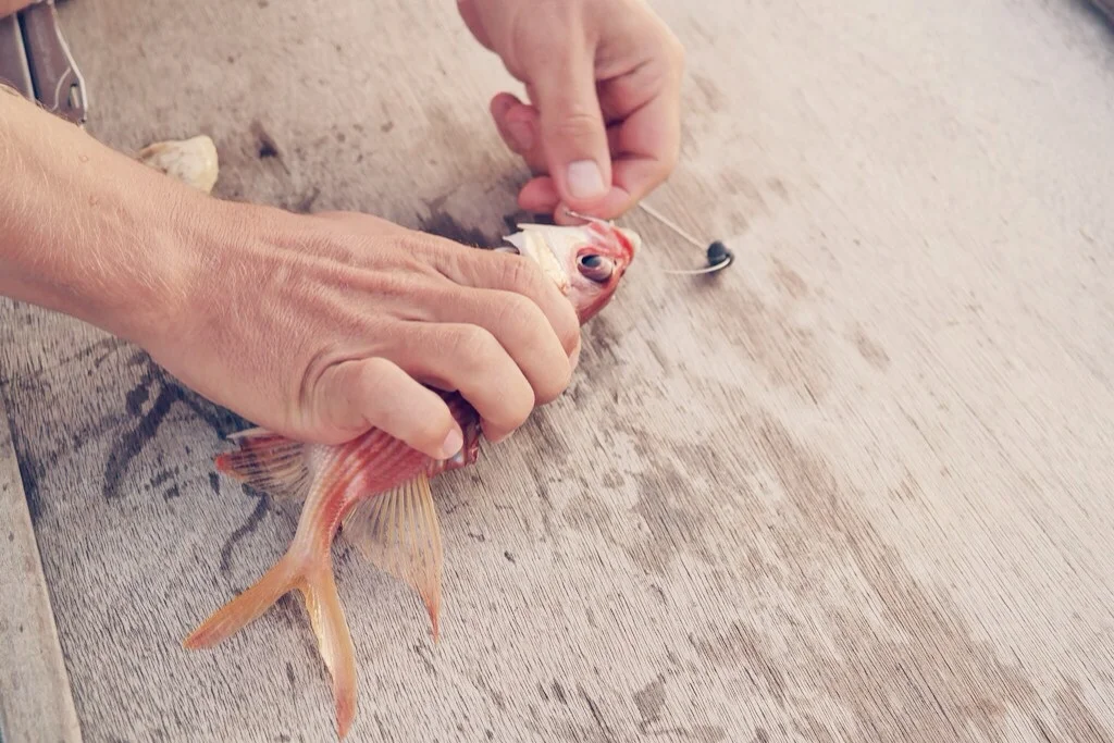 and release.