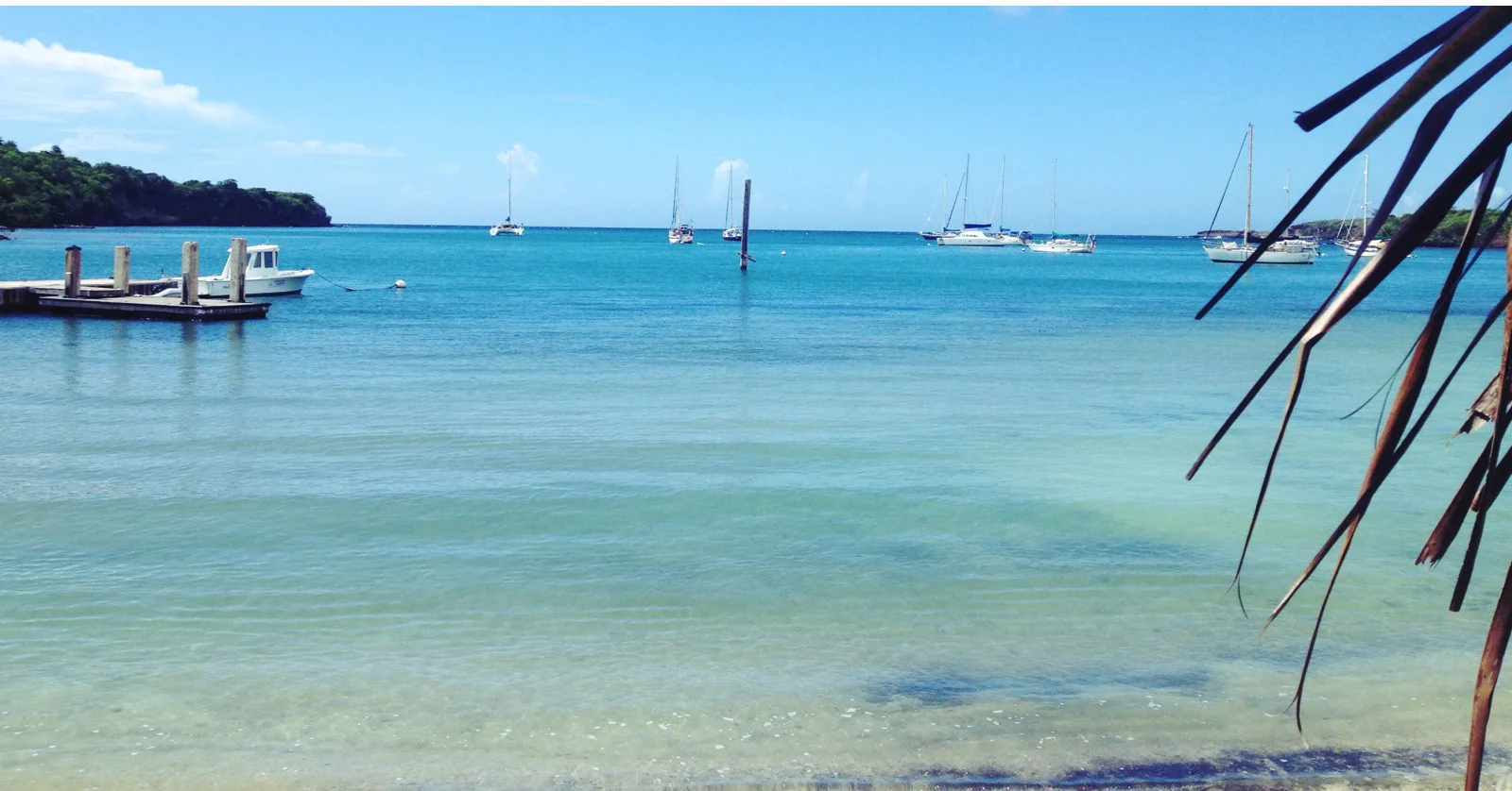 St. David's Harbour with Melody riiiiight in the back