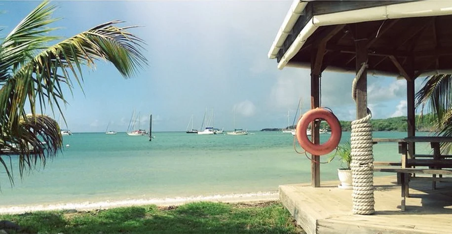the beach bar where we set up our office for the first week