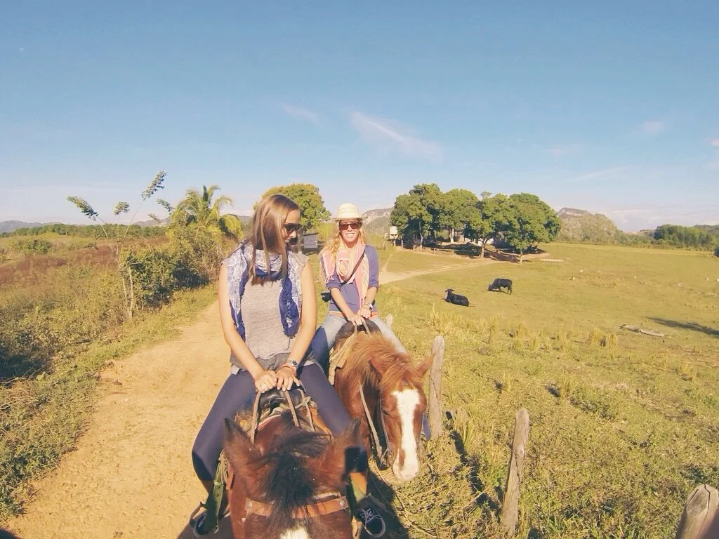 Charlette's horse&nbsp;did not like mine and kept me at the back of the line for most of the trip... Equine politics!