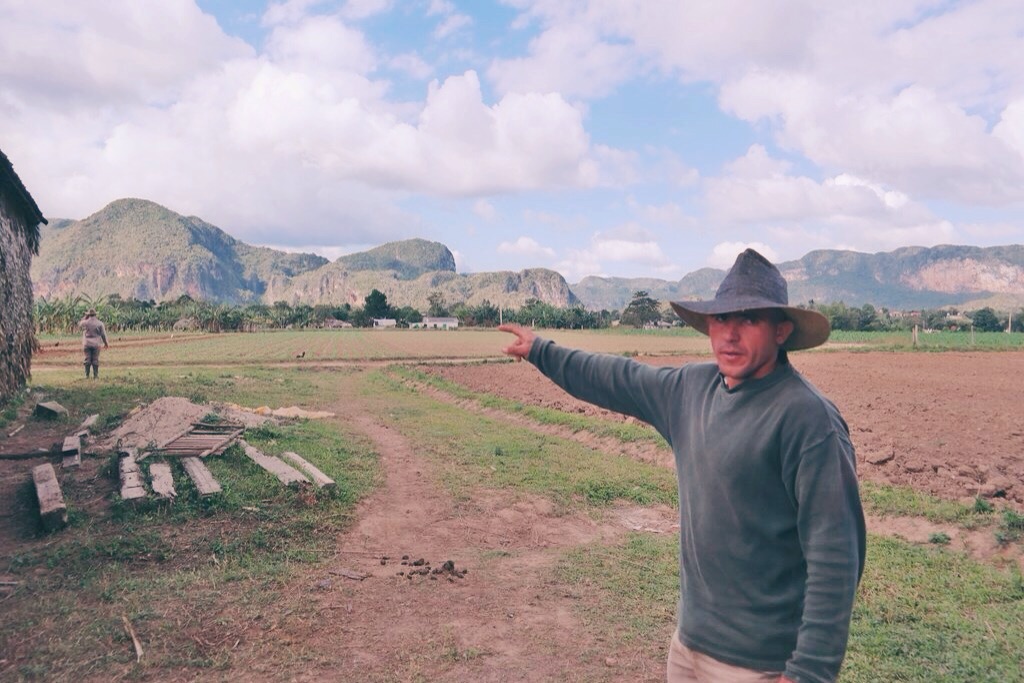 Our guide pointing out the tobacco plantations
