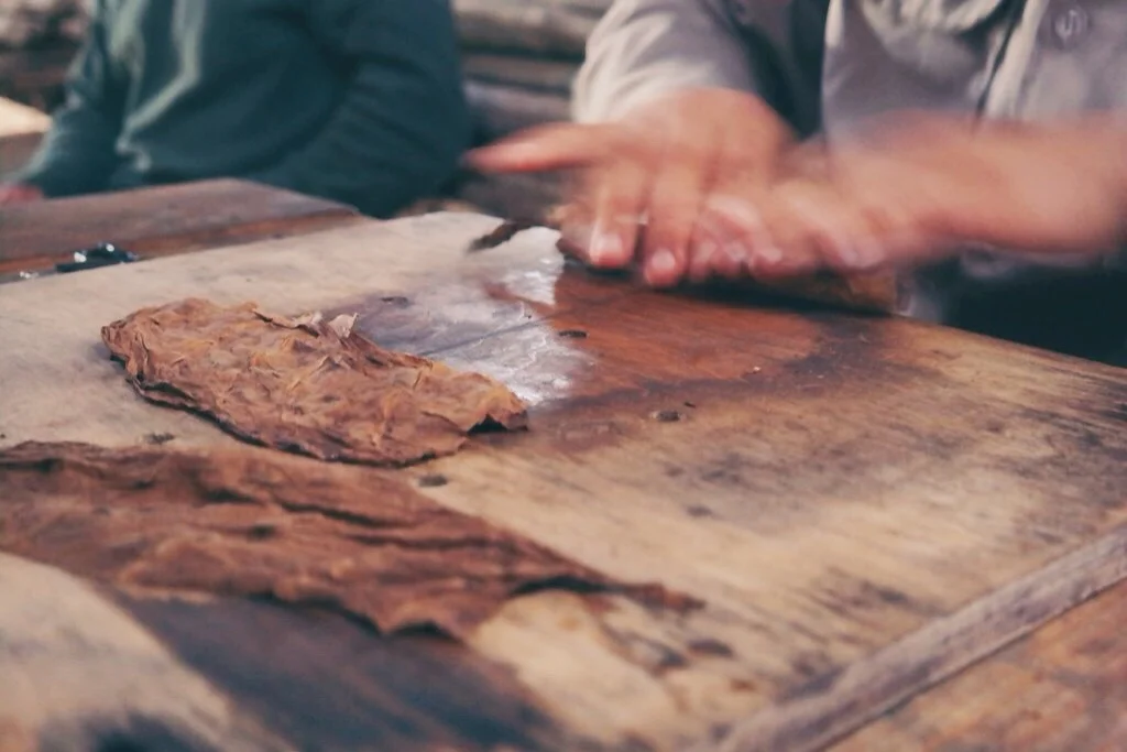 rolling our cigars