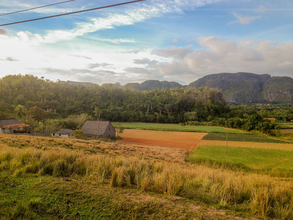 a tobacco farm on the way to the restaurant