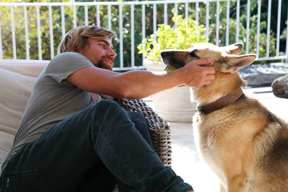Rufus training Juno - I adore these two