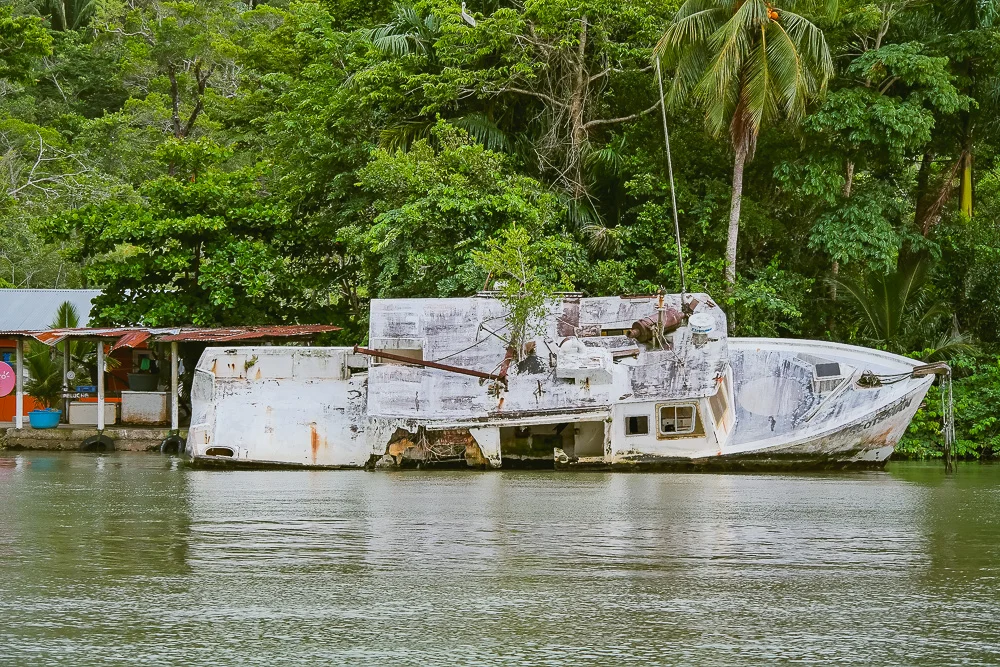 this boat has seen better days - now home to a tree